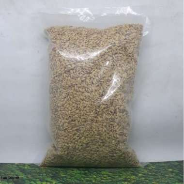 GABAH BANGKOK 1 KG PAKAN BURUNG LOVEBIRD PERKUTUT TEKUKUR KENARI PAKAN