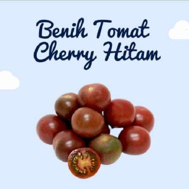 BENIH TOMAT HITAM CHERY, SEED BLACK CHERRY, BIJI TOMAT HITAM CHERY