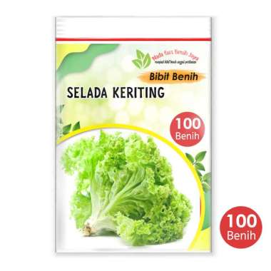 Nada fast benih jaya 100 biji Benih sayur Selada keriting / Bibit sayuran selada air grands rapids /
