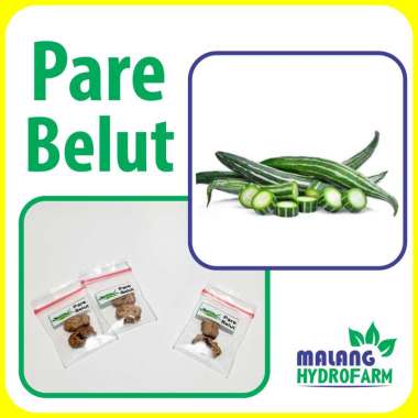 Benih Pare Belut Unggulan berkualitas biji paria bibit hydroponik hidroponik sayuran sayur