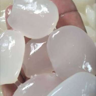 Buah Kolang Kaling 1 kg