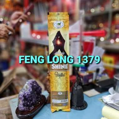 Hio Dupa India Aromaterapi VIJI SHINE BAKTHI