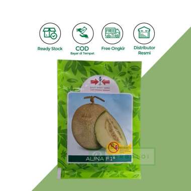 FreeOngkir 40 Butir Benih Bibit Unggul Melon Hibrida Alina F1