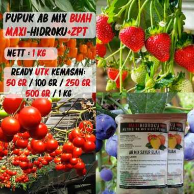 PT PETROSIDA GRESIK Pupuk Hidroponik AB Mix Buah [500 gr] MULTICOLOUR