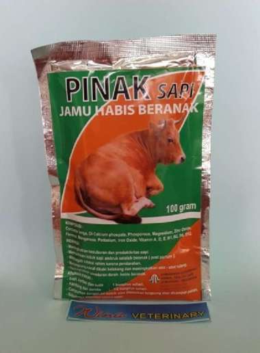 PINAK sapi meningkatkan birahi, kesuburan, pemulihan habis beranak