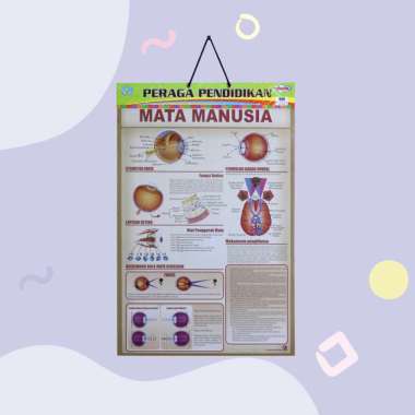 Poster Edukasi Anak / Poster Anak Bingkai Seri Anatomi Tubuh : Mata Manusia / Mulut Dan Lidah / Orga