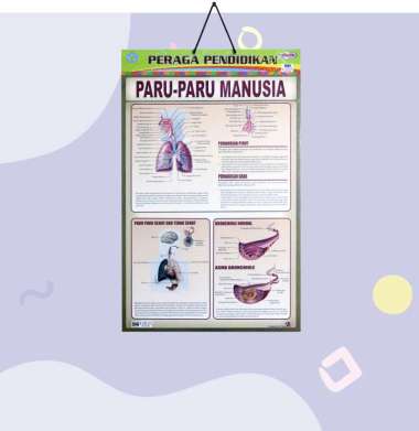 Poster Edukasi Anak / Poster Anak Bingkai Seri Anatomi Tubuh : Mata Manusia / Mulut Dan Lidah / Orga