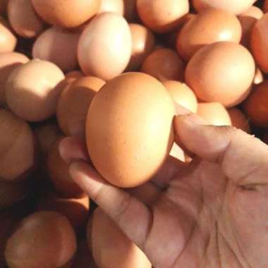 Telur Ayam Negeri 1kg