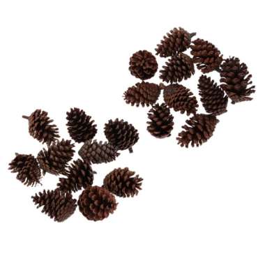 150x Natural Pine Cones In Bulk For Home Decoration Wedding Ornament 