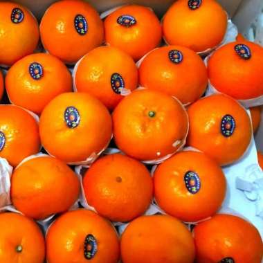 Jeruk Mandarin Wokam per 1 kg Buah Segar Jeruk Wokam 1 kg