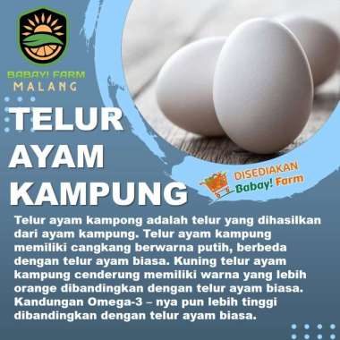 Telur Ayam Kampung / Telur Ayam Kampung Omega 3 Non Omega-6 Pcs