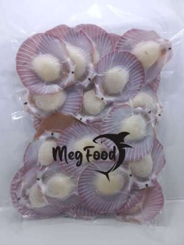 Kerang Srimping Bersih Ukuran 30-40 500 gr I HALF SHELL SCALLOP