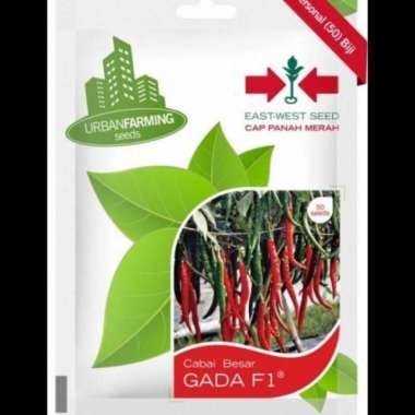 BENIH CABAI KERITING GADA F1 PANAH MERAH SMALL POUCH keriting gada