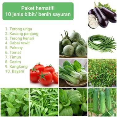 Paket hemat benih bibit sayuran dan buah