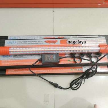 Lampu tanning arwana super red Amara AT premium tanning AT 1200