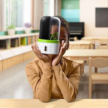 Science Can Plant Growth Station mainan edukasi pertumbuhan tanaman