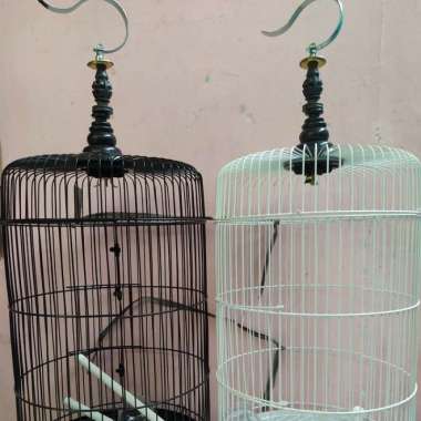 Kandang Burung Lovebird Harga Termurah Mei 2021 Blibli