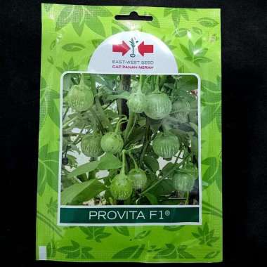 FreeOngkir 400 Butir Benih Bibit Terong Lalap Bulat Provita F1