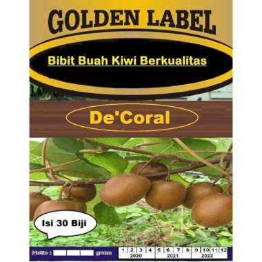 Bibit Buah Kiwi Berkualitas dari De'Coral | Bibit Kiwi