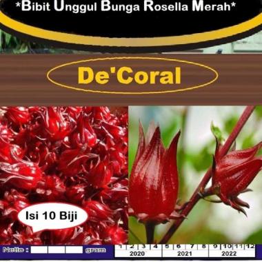 Bibit Unggul Bunga Rosella Merah | Benih Bunga Rosella Merah