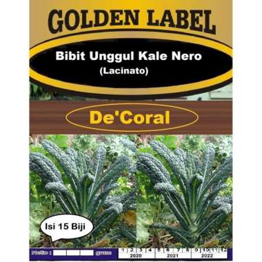Bibit Unggul Kale Nero Lacinato | Benih Kale Unggul