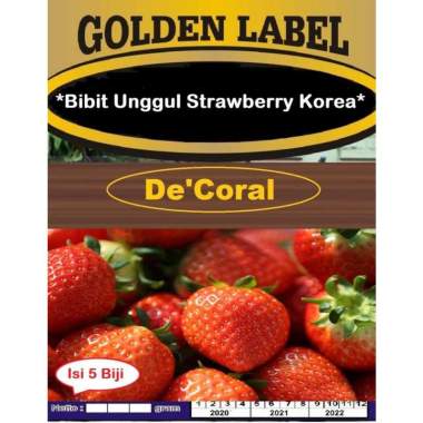 Bibit Unggul Strawberry Korea | Benih Stroberi Korea| Bibit Strowbery