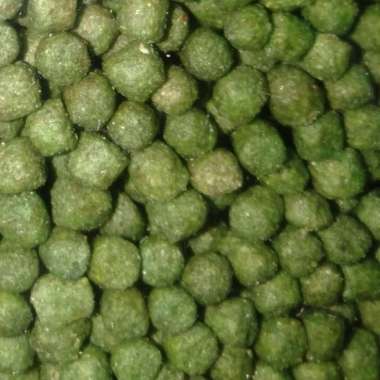 AKARI SPIRULINA 1250 GR PELET KOI AKARI SUPER 2MM