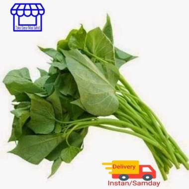Daun ubi sayur daun ubi satu 1 ikat