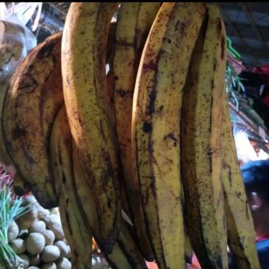 Pisang Tanduk 1 Buah