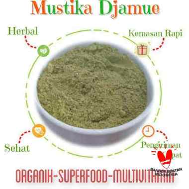 Jual Bunga Kenanga Putih Terlengkap - Harga Murah September ...