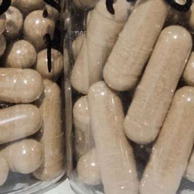 Kapsul Kayu Ular Serut Halus Doro Putih/Widoro 100pcs Kemasan Cantik