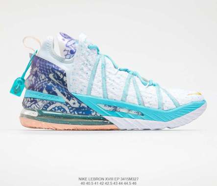 lebron james 5 shoe