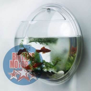 AQUARIUM DINDING / TEMPEL / AQUARIUM IKAN HIAS / AQUARIUM TANAMAN HIAS ATAU BUNGA / AQUARIUM CUPANG