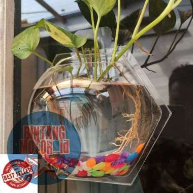 AQUARIUM DINDING / TEMPEL / AQUARIUM IKAN HIAS / AQUARIUM TANAMAN HIAS ATAU BUNGA / AQUARIUM CUPANG 