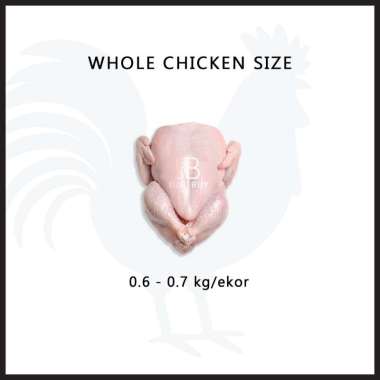Ayam karkas / PKK (ayam broiler) 0.6 - 0.7 kg frozen