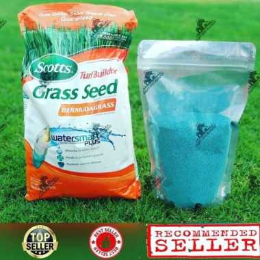 Biji rumput Bermuda 10g- Benih Rumput Bermuda - Bibit rumput Bermuda