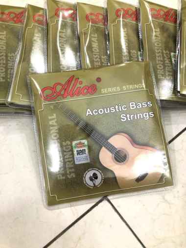 Alice A618 Acoustic Bass Strings - Senar Bass Akustik