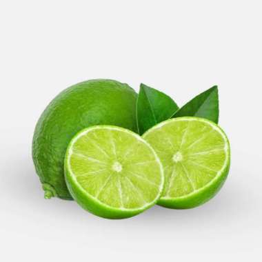 Bibit pohon jeruk limo - jeruk -jeruk - sambel - purut buah - limau Tinggi 40 cm Up - Hebat Store