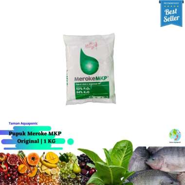 Pupuk Meroke MKP Pembuahan Pembungaan