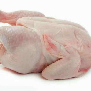 AYAM POTONG FRESH 500 GRAM