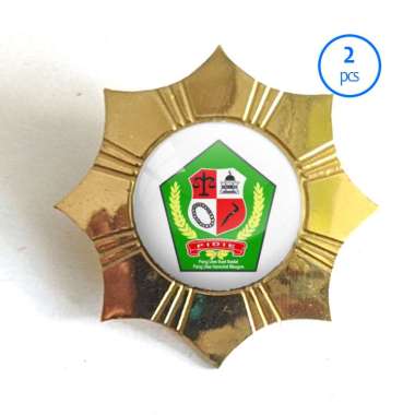 Pin Logo Kabupaten Bros Wing Logo Kabupaten Pidie Mulyocreative