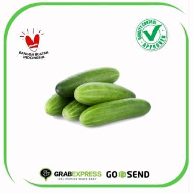 Mentimun Timun Bonteng Lalapan Sayur Segar 500Gram 1 Kg 1 kg