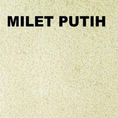 Milet, milet lovebird, Milet putih kiloan