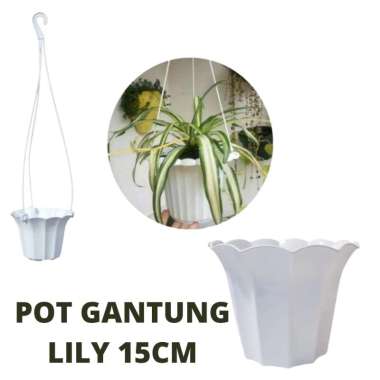 POT GANTUNG LILY PUTIH 15CM pot plastik tanaman hias dekorasi taman