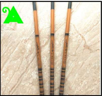 Joran Tegek Golden Fish Gold Bambu 360