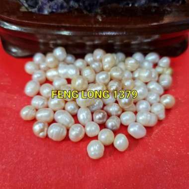 Biji Butiran Mutiara Asli