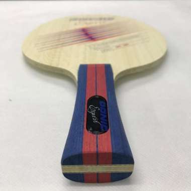 DONIC Esprit Carbon / Bet Tenis Meja Pingpong