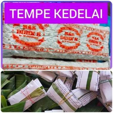 Tempe Kedelai/ Tempe Potong/ Tempe Daun Lauk Pauk Indonesia Tempe Plastik