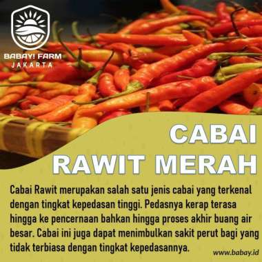 Cabe Rawit Merah / Cabai Rawit Merah 250 500 gram / 1 Kg 1 Kg