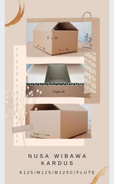 Karton box 25x15x10